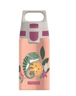 Gourde Enfant Sigg Shield One Inox 0,5L