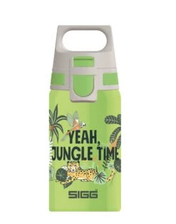 Gourde Enfant Sigg Shield One Inox 0,5L