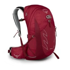 Sac à Dos De Rando Osprey Talon 22 Homme